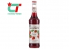 Siro Monin  strawberry/fraise - dâu