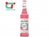 Siro Monin  bubble gum