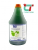Siro GTP - vị táo xanh