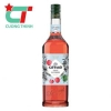 Syrup Giffard -  lychee