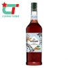 Syrup Giffard -  cinnamon